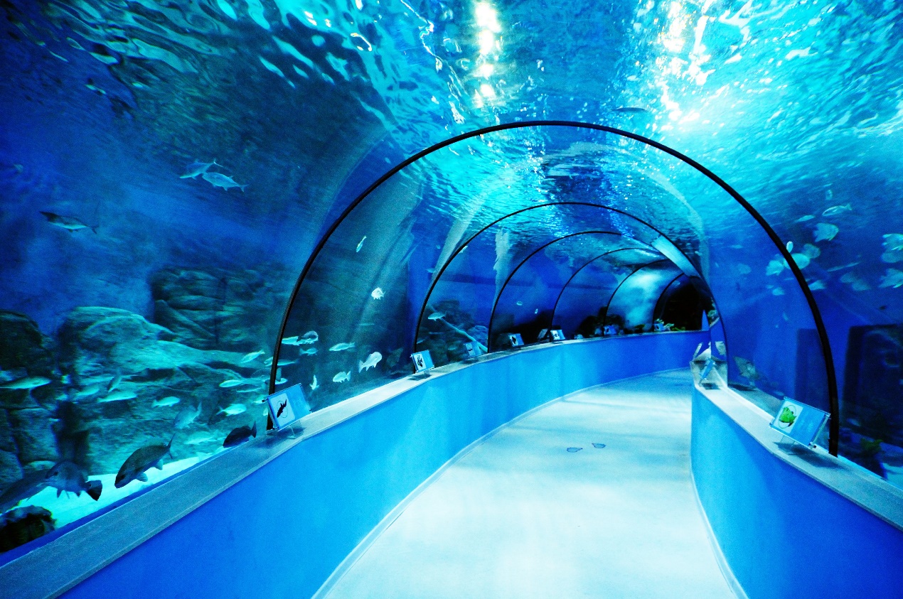 合肥市恒大中心海洋館改造加固設(shè)計(jì)